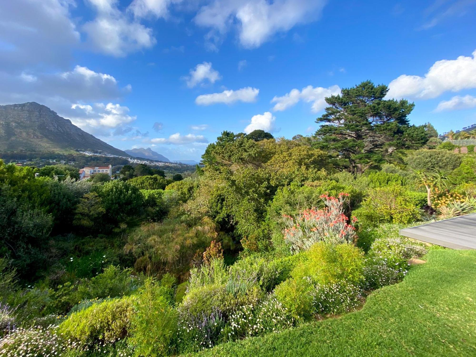 Luxe Family Home With Solar Power In Secure Hout Bay Estate Fokváros Kültér fotó